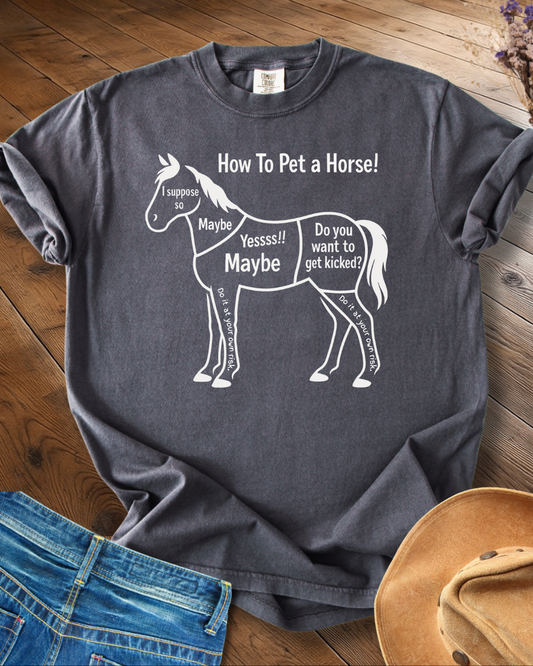 How to Pet a Horse T-shirt