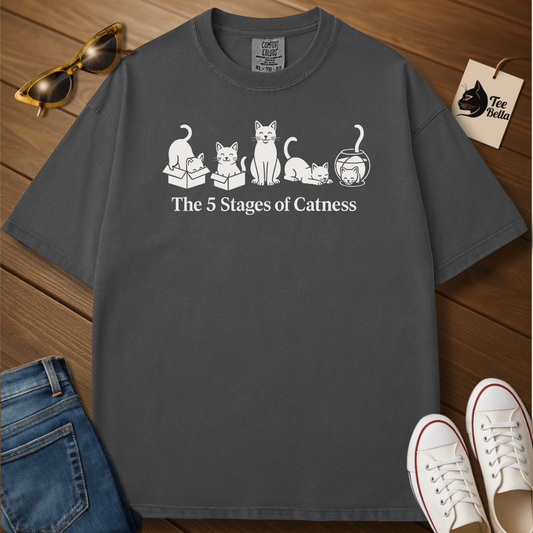 Stages of Catness Tee