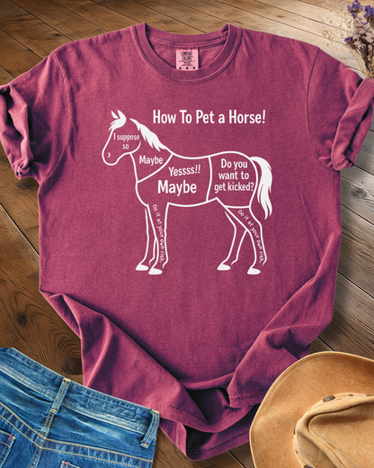 How to Pet a Horse T-shirt