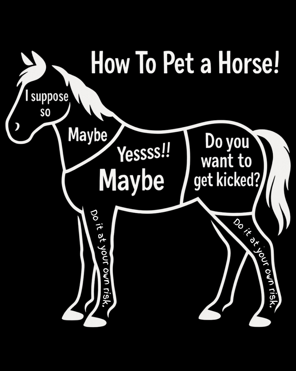 How to Pet a Horse T-shirt