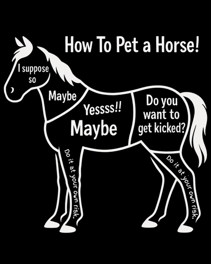 How to Pet a Horse T-shirt
