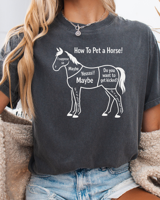 How to Pet a Horse T-shirt