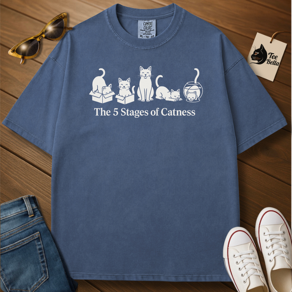 Stages of Catness Tee