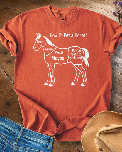 How to Pet a Horse T-shirt