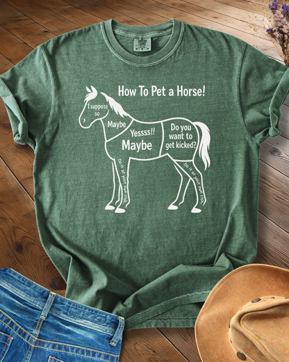 How to Pet a Horse T-shirt