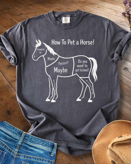 How to Pet a Horse T-shirt