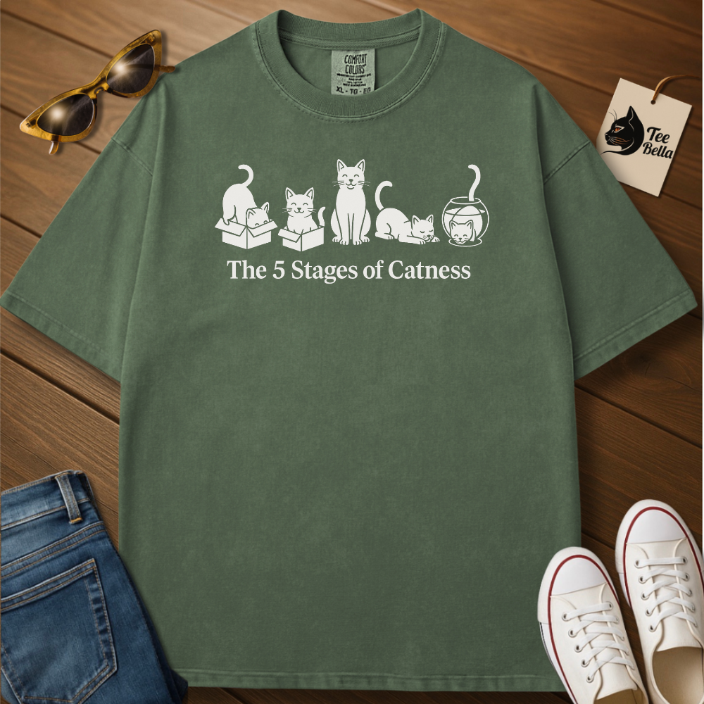 Stages of Catness Tee