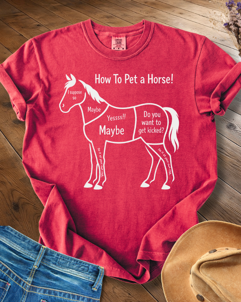 How to Pet a Horse T-shirt