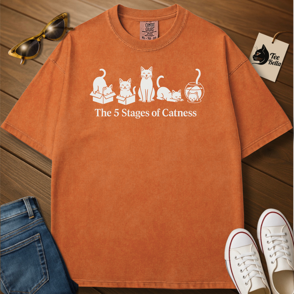 Stages of Catness Tee