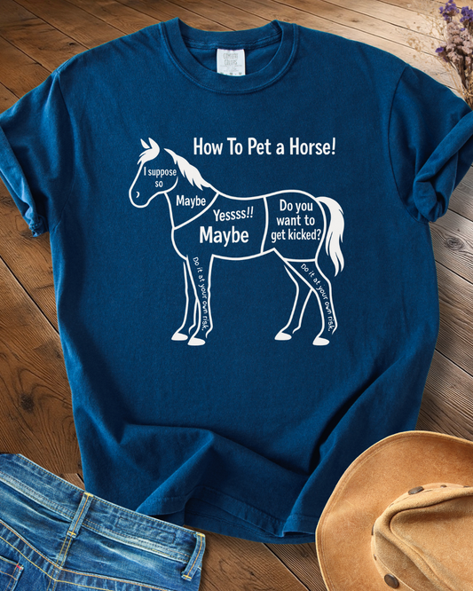 How to Pet a Horse T-shirt